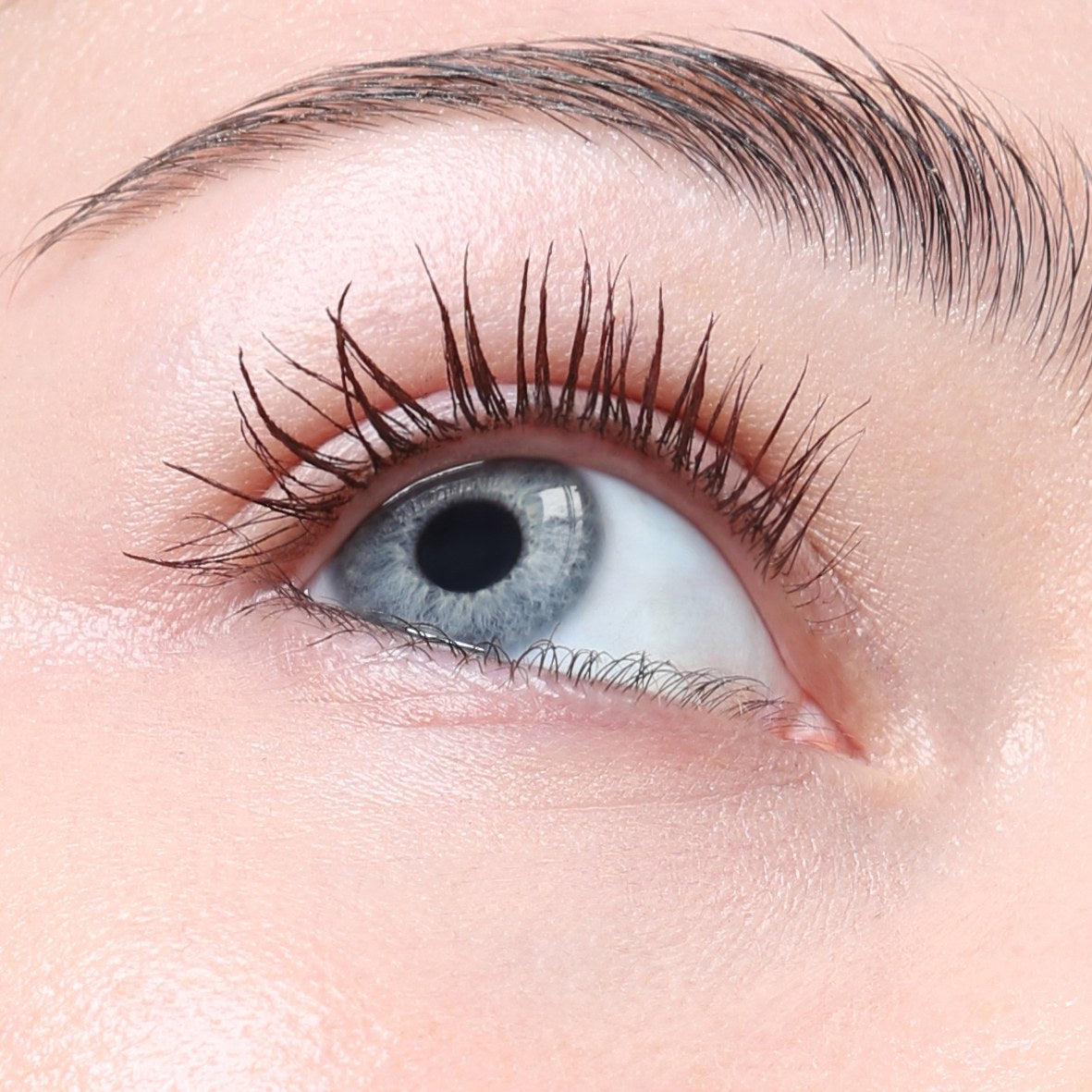 Lashes with Banger Mascara Red Wine Rêverie, close-up